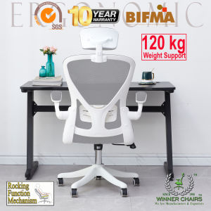 Ergonomic Office Chair WN 889A-WH  (10 Years Warranty)