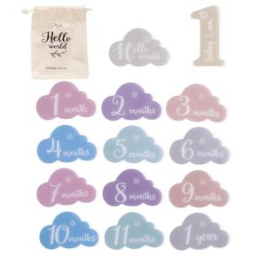 14 Pieces Baby Acrylic Landmark Cards Cloud/Butterfly Shape Photography Props for Newborns Monthly Growth Record