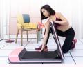 MÁY ĐI BỘ XIAOMI WALKINGPAD P1/WalkingPad MJZBJ01KST. 