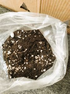 Phân trộn cao cấp loại 1kg (3dm3) Sử dụng hiệu quả cho Cây hoa hồng Cây mai cây cảnh văn phòng giúp hạ chế sử dụng phân hóa học.