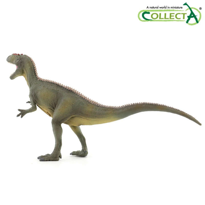 Collecta Allosaurus ไดโนเสาร์ยุคก่อนประวัติศาสตร์สัตว์รุ่น Dino ของเล่น ...