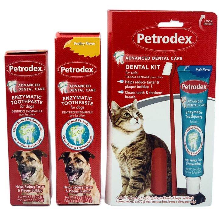 Antibacterial toothpaste 2024 for dogs