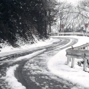 Ultimate Guide to Long-Sleeved & Quick-Drying Cycling Jerseys for Summer
