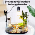 หลอดไฟให้ความร้อนและรังสี UVA + UVB 3.0 ไฟนก ไฟเต่า ไฟกิ้งก่า ไฟสัตว์เลื้อยคลาน ให้ความอบอุ่นสัตว์เลี้ยง ไฟกก เต่าบก ​ลูกนก สัตว์เลื้อยคลาน. 