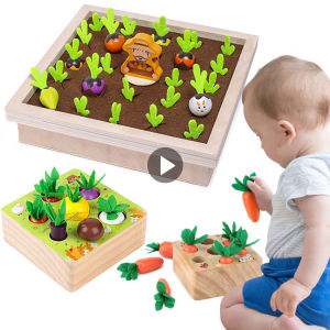 Montessori toy set baby pull carrot shape matching size cognitive puzzle children wooden toys