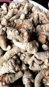 500gram Củ tam thất khô hàng loại 1 củ to.