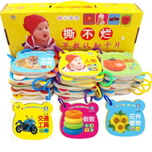 现货～全套24Set(全240张学习卡)宝宝早教学习卡婴儿益智撕不烂拼音识字启蒙认知