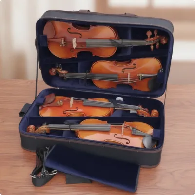 Dolity Hard-Shell Four-Instrument Violin Case Rectangular Multiple Violin Case Sturdy Padded for Violinists Musicians Teachers Rehearsals Music Lessons