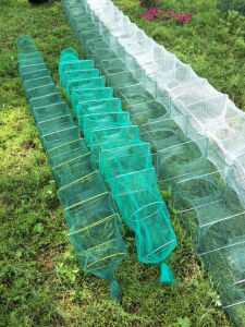 COD PERANGKAP BUBU NAGA PANJANG 2.5 M JARING IKAN UDANG LOBSTER KEPITING MODEL PANJANG Bubu Naga 11 Sisi 8 Lubang Fyke Net Hijau Lipat Praktis - Lazada