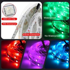 Lampu LED strip 5050 IP33 IP44 Mata Besar 5m 12V Putih Kuning WarmWhite Merah Hijau Biru Pink