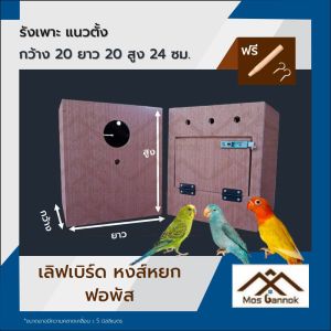 รังเพาะนก เลิฟเบิร์ด ฟอพัส หงส์หยก แนวตั้ง พร้อมส่ง! รังเพาะนกแก้ว บ้านนก กล่องเพาะนก รังนอนนก กล่องไข่นก