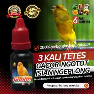DOPING VITAMIN BURUNG KENARI AGAR BERKICAU GACOR POLL MAKSIMAL HARIAN DAN LOMBA