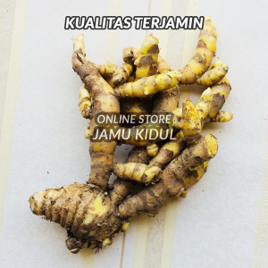 Temu giring 500gr Segar / temu kuning (Curcuma heyneana) - Harga Grosir