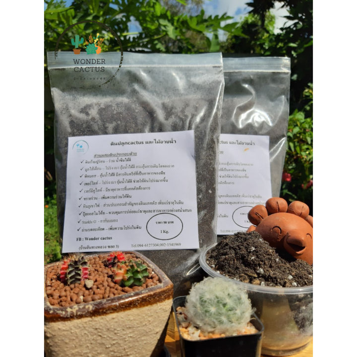 ดินปลูกแคคตัสและไม้อวบน้ำ สูตรผสม พร้อมหินโรยหน้า