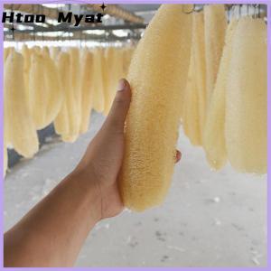 tantuoye 1 cái mướp tự nhiên luffa cọ rửa nhà bếp cọ rửa bát nồi Xốp chà 20-25cm