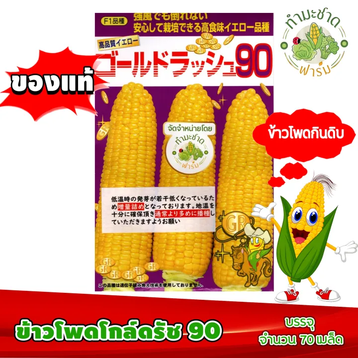 เมล็ดพันธุ์ข้าวโพดโกลด์รัช 90 Hokkaido Sweet Corn รสชาติเหมือนผลไม้