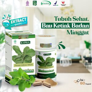 Kapsul Daun Beluntas Obat Alami Penghilang Bau Badan Dan Penyegar Mulut Herbal Tazakka