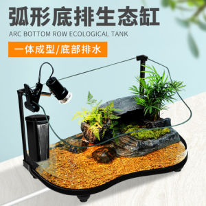 Arc-shaped turtle tank ecological tank drying platform landscaping villa large fish tank bare tank turtle special tank Tangki penyu berbentuk arka tangki ekologi platform pengeringan landskap vila tangki ikan besar tangki kosong tangki khas penyu