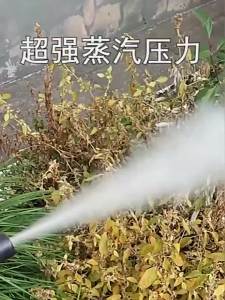 High Temperature Cleaning Machine High Pressure Steam Cleaner Floor Steamer Car Film Steam Interior Cleaning and ion Sauna Machine