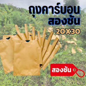 100 ใบ ถุงกระดาษคาร์บอน ถุงห่อผลไม้ ถุงห่อฝรั่ง ถุงห่อมะม่วง ขนาด 20x30 ซม.คาร์บอนขนาด 2ชั้น