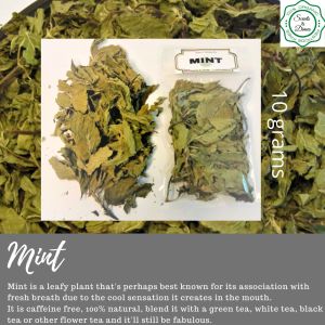 Loose Leaves and Flowers 10grams each TEA Trial pack