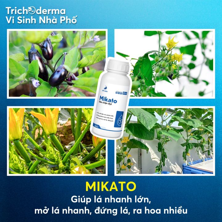 Mikato%20D%E1%BA%BF%20M%C3%A8n%20-%20Si%C3%AAu%20ch%E1%BA%B7n%20%C4%91%E1%BB%8Dt,%20h%E1%BB%97%20tr%E1%BB%A3%20ph%C3%A2n%20h%C3%B3a%20m%E1%BA%A7m%20hoa%20500ml%20-%20Image%203