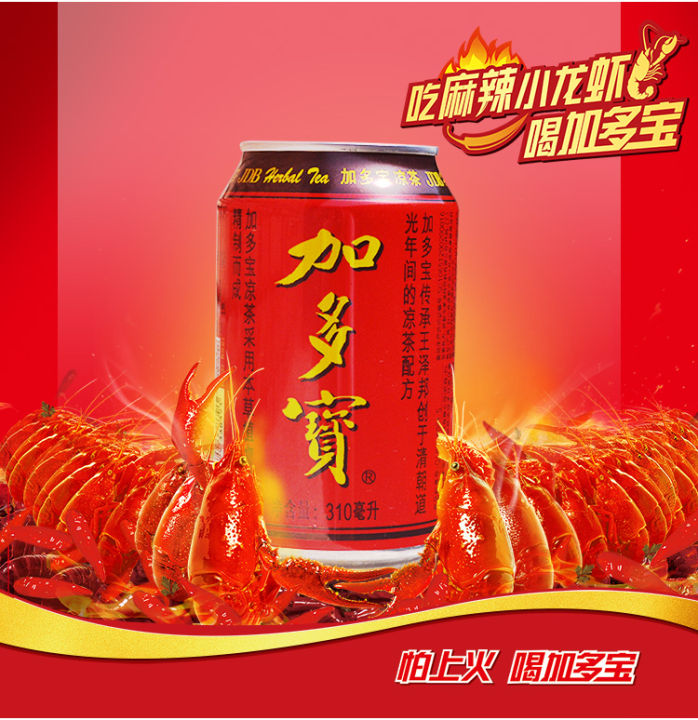 [China Special] Jia Duo Bao Chinese Herbal Tea 310ml 加多宝凉茶饮料