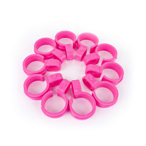 10pcs Clothes Hanger Windproof Hook Laundry Drying Wind Hanging Buckle Clips Home Organize Clothes Hanger Wind Clip