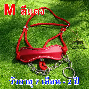 ขลุมหนัง เม่าหนัง ไซส์ M เหมาะสำหรับวัวอายุ 7 เดือน - 2 ปี - โซ่สแตนเลสแท้ มีตัวล็อคเชือก