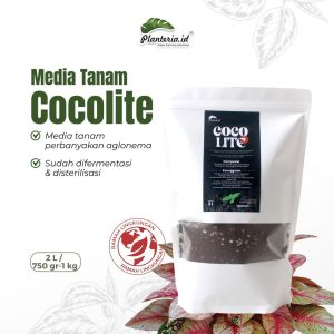MEDIA TANAM COCOLITE PLUS Media Perbanyakan Aglonema