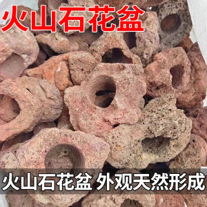 LZD Volcanic Rock Planting Cup Water Plant Ring Succulent Creative Bonsai Pot Breathable Absorbent Good Landscape Volcanic Rock Flowerpot