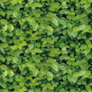 Wallpaper Design With Green Leaves PVC Self Adhesive Waterproof Wallpaper Fabric Safe Home Decor Wall Covering For Living Rome