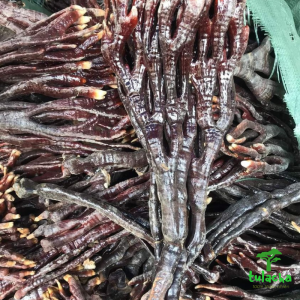 Nấm Linh chi Sừng Hươu rừng Tây BắcThảo dược nấm linh chi sừng hươu phơi khô tự nhiên linh chi đỏ (500 g - 1 Kg).