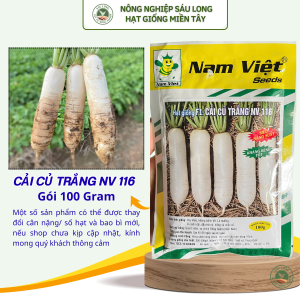 GÓI 100G - HẠT GIỐNG CỦ CẢI TRẮNG NV 116 - NĂNG SUẤT CAO KHÁNG BỆNH TỐT