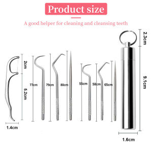 Stainless Steel Toothpick Set Tooth Flossing Reusable Toothpicks Portable Toothpick Floss Teeth Cleaner Oral Cleaning