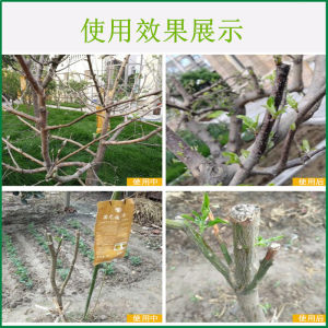 💗🙋♀️💗国光施它活大树吊针液苗木移栽激活提高成活植物注射液通用营养液