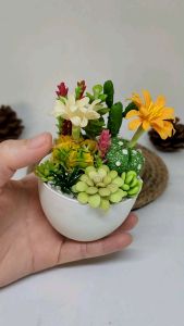 คุณสมบัติของความสูง 4-4.5นิ้ว - แคคตัส แคคตัสดินปั้น