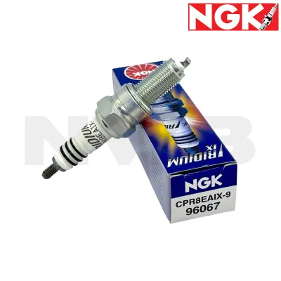 NGK Spark Plug for Honda Beat 110 Carb ADV 150 PCX 150 Zoomer X 110 XR 125L/150L TMX 150 Supremo Scoopy 110 (CPR8EA-9/CPR8EAGP-9/CPR8EAIX-9)