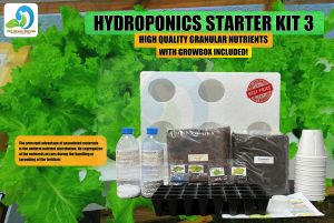HYDROPONICS STARTER KIT 3 - WITH GROWBOX/4PACKS OF SEEDS/GRANULAR NUTRIENTS FOR PROPER GROWTH OF THE PLANT