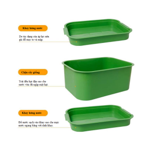 Hộp Trồng Rau Mầm Sạch Sẽ Nhỏ Gọn Khay Tự Làm Giá Đỗ Mini Tại Nhà Cho Cho Người Bận Rộn Không Cần Kinh Nghiệm