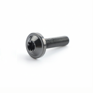 NEXTYOO M6x10 Titanium Bolts M6x20 M6x15 T30 Torx Bolts High Quality with Torx Head Motorcycle Fasteners