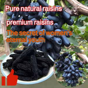 🔥 Big Discount🔥Black Grapes Specialty Candied Grapes King Nutless Seedless Grapes Xinjiang Blueberry Raisins Sun Dried Natural Finger Grapes Seedless Golden Finger Snack Original Flavor Specialty Food Xinjiang Raisins Seedless Grapes