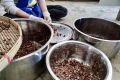 คาเคานิบส์ (Cacao Nibs) - แบบเมล็ดแตก100 กรัม ส่งตรงจากสวน รับประกันคั่วสดใหม่ทุกถุง พร้อมรับประทานหรือนำไปแปรรูปต่อได้. 