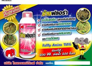 ช้างฟลอร่า ฮอร์โมนเปิดตาดอก สูตรเข้มข้น มีตัวกดใบอ่อนในตัว ลดปัญหาใบแซมดอก ออกดอกสม่ำเสมอ ช่อดอกอ้วนสมบูรณ์ ขนาด 1000cc อัตราการใช้ 20-30cc/น้ำ 20 ลิตร