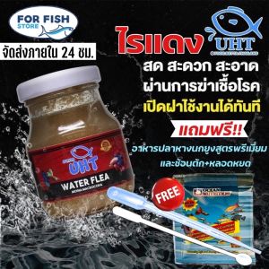 อาหารปลา ไรแดง UHT สำหรับปลาหางนกยูง ปลาเล็ก ปลาสวยงาม
