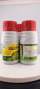 (240ml) Chất điều hòa sinh trưởng Subaygold 4.55L: chuyên dùng cho lúa ra rễ mạnh đẻ nhánh khỏe nở bụi kích trổ đồng loạt vô gạo nhanh