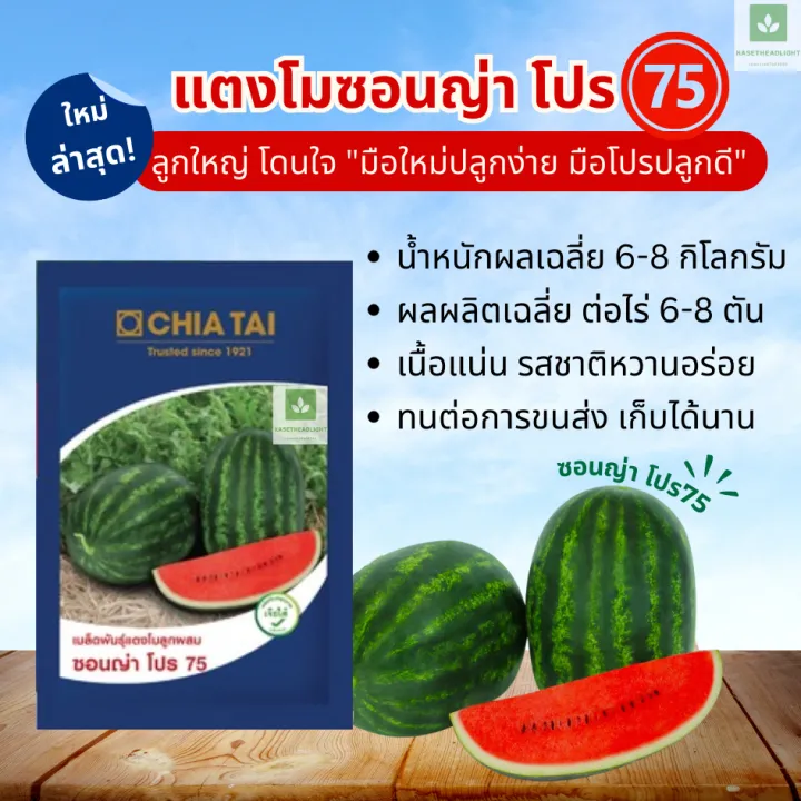 เมล็ดพันธุ์แตงโม เจียไต๋ ซอนญ่า โปร 75 ทนทาน ผลผลิตสูง