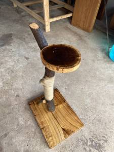 EUCAZA คอนโดแมว ที่ลับเล็บแมว ของเล่นแมว บ้านแมว คอนโดแมวราคาถูก เสาลับเล็บแมวได้ ต้นไม้แมว มีกระดิ่งลูกตุ่มให้แมวไว้เล่นสนุกสนาน