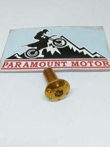 Baut disc cakram stainless oval 8*20 mm model probolt universal semua motor