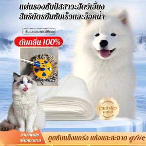 【ระงับกลิ่นกาย 100%】🔥 [ชิ้นเดียวรับน้ำหนักได้ 0.5 กก.] แผ่นรองฉี่สุนัขและแมว ผ้าอ้อมซึมซับทันที แห้งไว กระดาษซับฉี่แมว